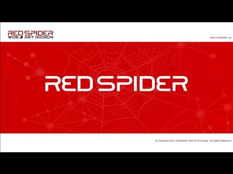 RedSpider corporate video