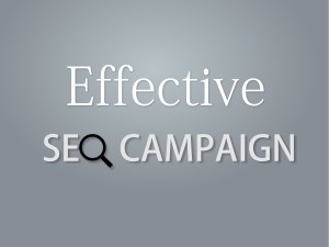 seo-campaign
