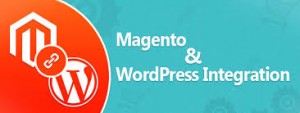 Magento and wordpress Web development dubai