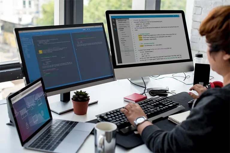 Some Silly Mistakes, Which Your Website Developer May Make