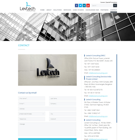 LevTech Consulting