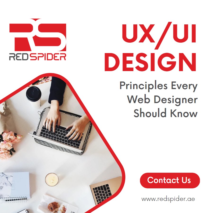 UX/UI Design Principles Every Web Designer Should Know