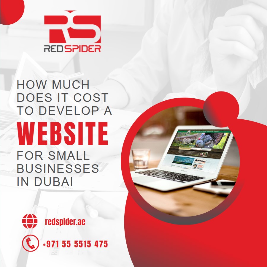 How Much Does It Cost To Develop A Website For Small Businesses In Dubai