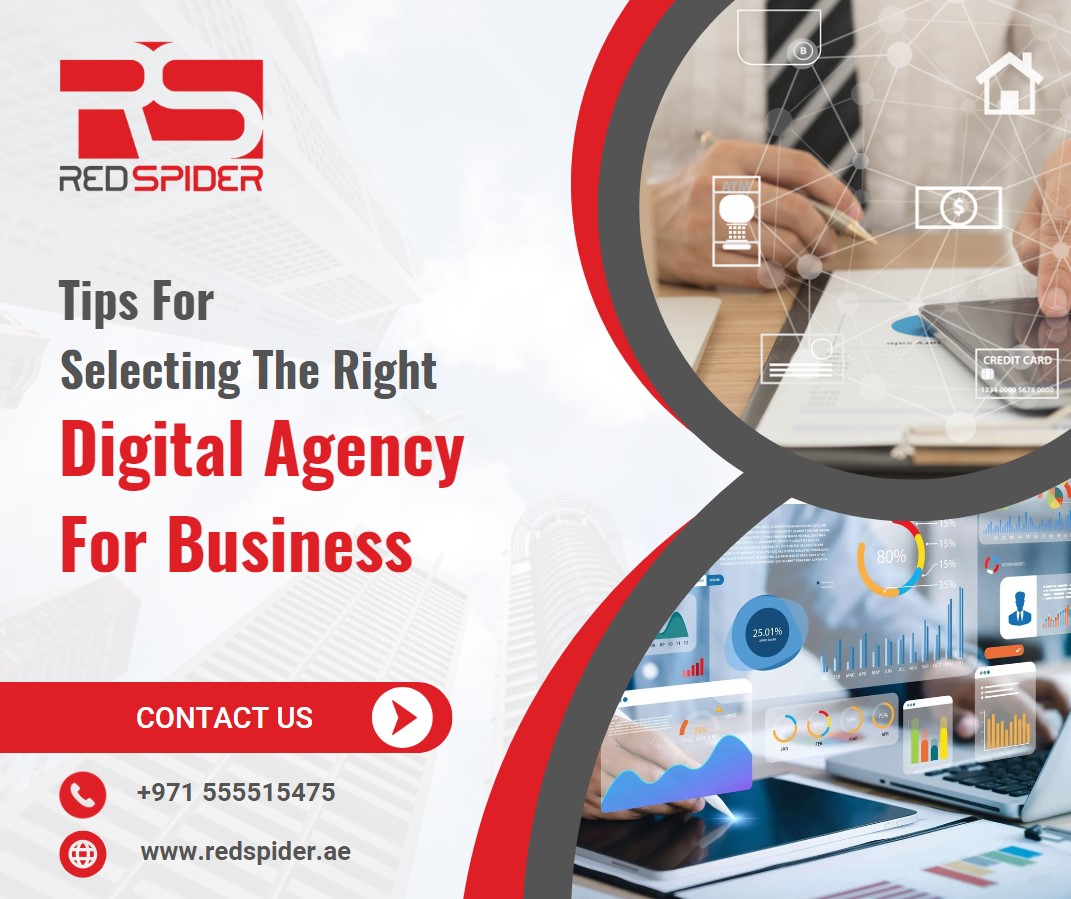 Right Digital Agency For Business